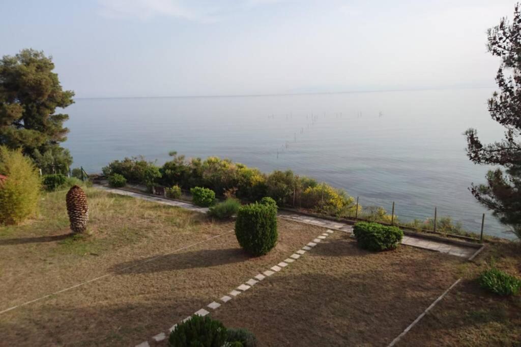 Sunshine House Offering Spectacular Views To Olymp A Apartment Nea Iraklia Ngoại thất bức ảnh