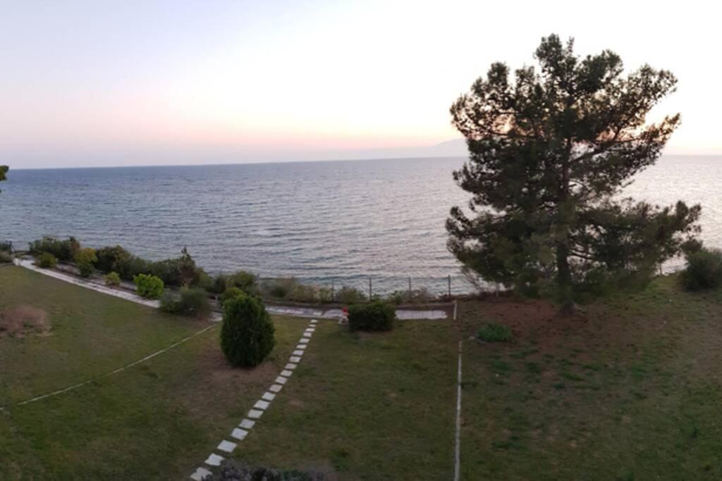 Sunshine House Offering Spectacular Views To Olymp A Apartment Nea Iraklia Ngoại thất bức ảnh